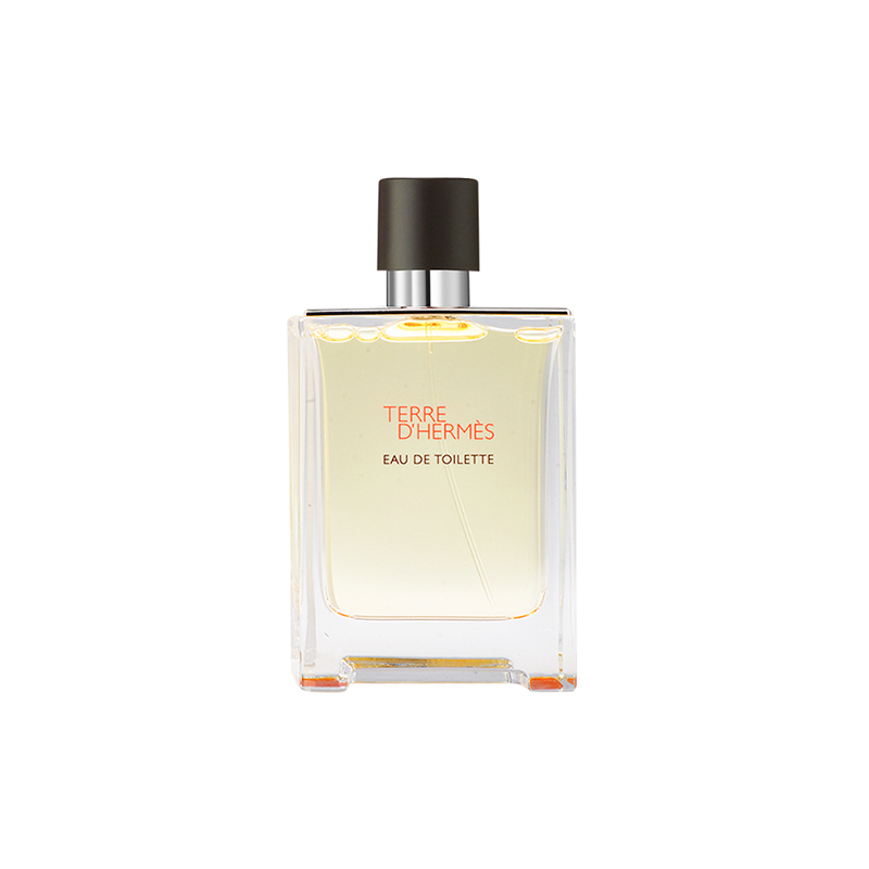 HERMES Terre d'Hermes Eau de Toilette 100ml (Simple Packaging No Box)